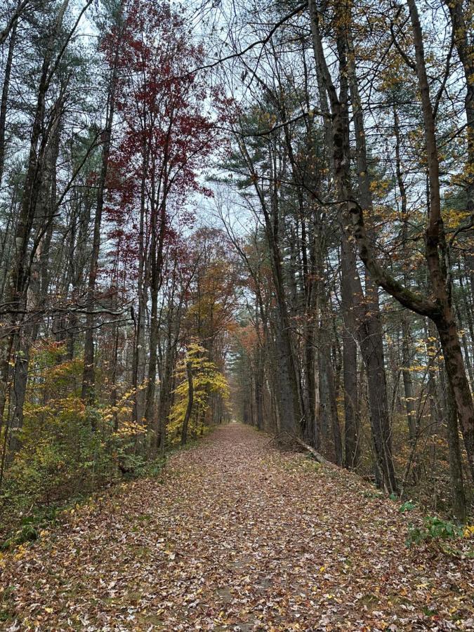 Escape To A Streamside Cabin In The Lower Catskills Wurtsboro Esterno foto