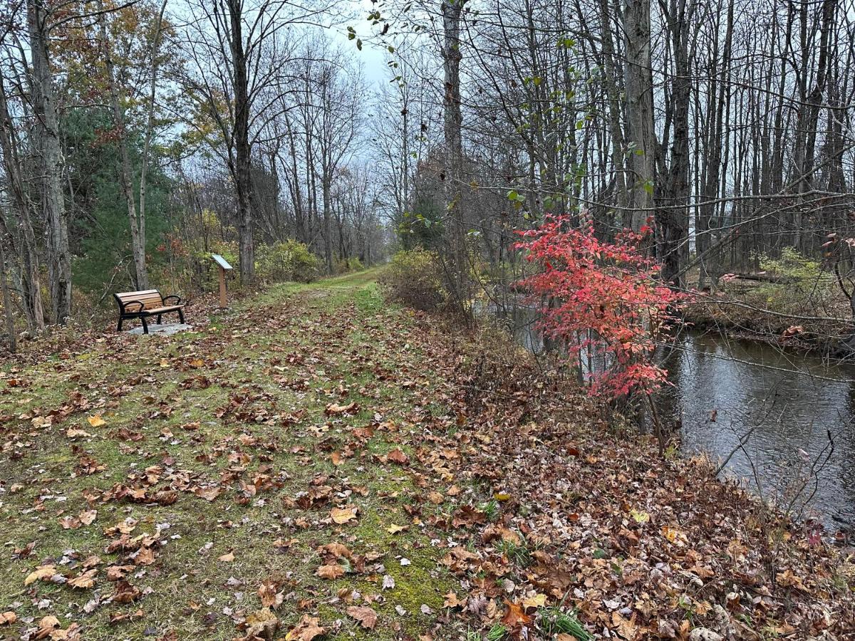Escape To A Streamside Cabin In The Lower Catskills Wurtsboro Esterno foto